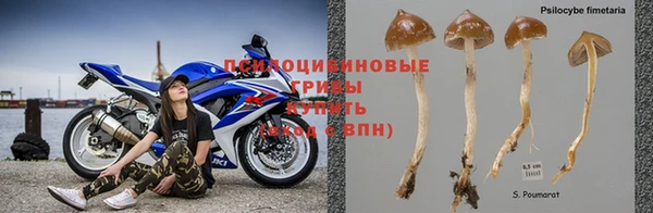 Альфа ПВП Алзамай