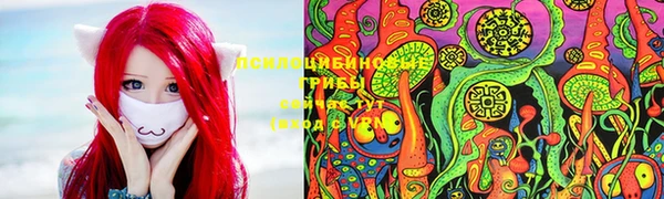 2c-b Алексин